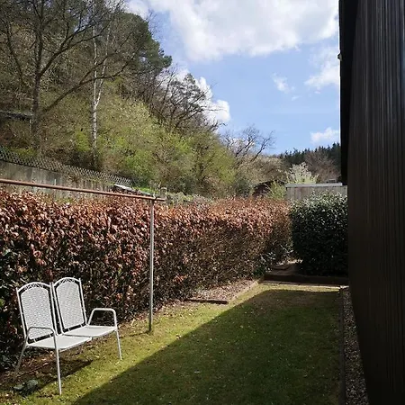 In Waldrandlage In Nationalpark / Eifel シュライデン