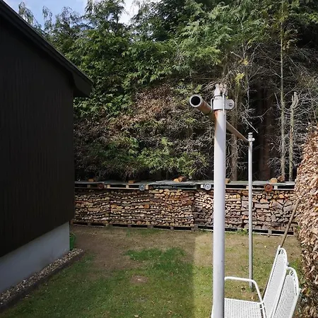 In Waldrandlage In Nationalpark / Eifel *