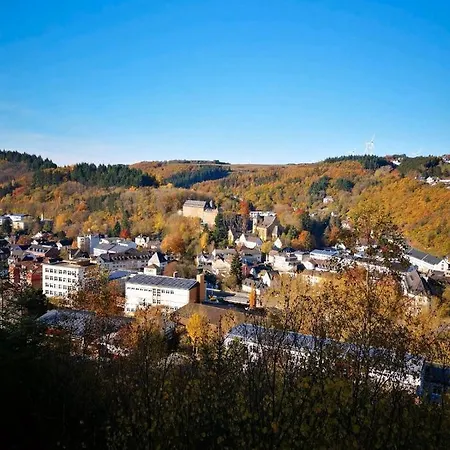 In Waldrandlage In Nationalpark / Eifel * 施莱登