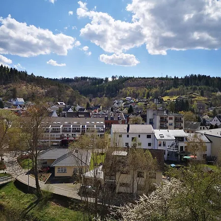 In Waldrandlage In Nationalpark / Eifel * 施莱登