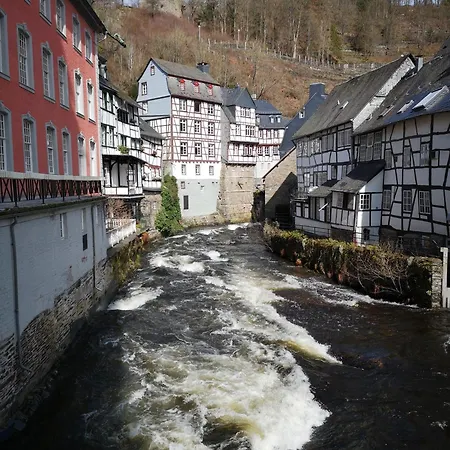 In Waldrandlage In Nationalpark / Eifel *