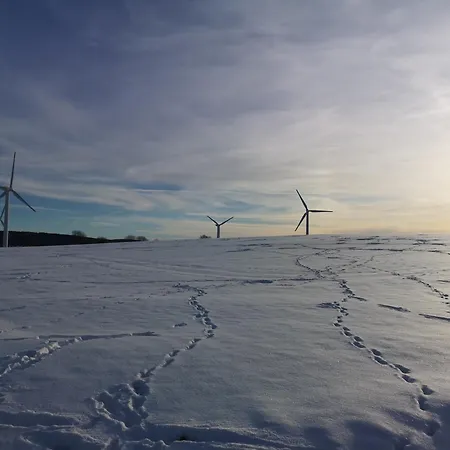 In Waldrandlage In Nationalpark / Eifel 度假居 施莱登