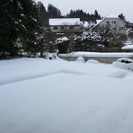 In Waldrandlage In Nationalpark / Eifel *