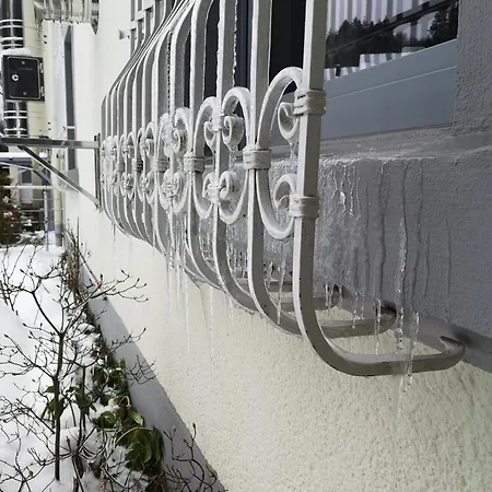 In Waldrandlage In Nationalpark / Eifel * 施莱登