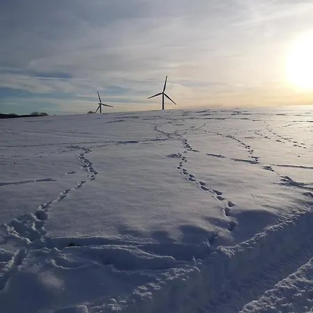 In Waldrandlage In Nationalpark / Eifel