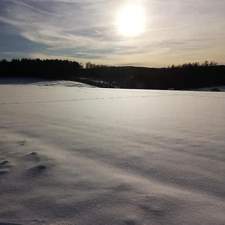 度假居 In Waldrandlage In Nationalpark / Eifel 施莱登
