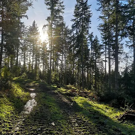 In Waldrandlage In Nationalpark / Eifel