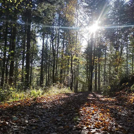 度假居 In Waldrandlage In Nationalpark / Eifel 施莱登