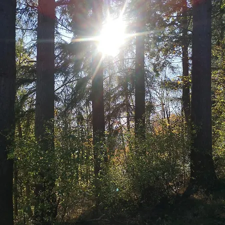 In Waldrandlage In Nationalpark / Eifel *