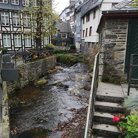 In Waldrandlage In Nationalpark / Eifel * Schleiden