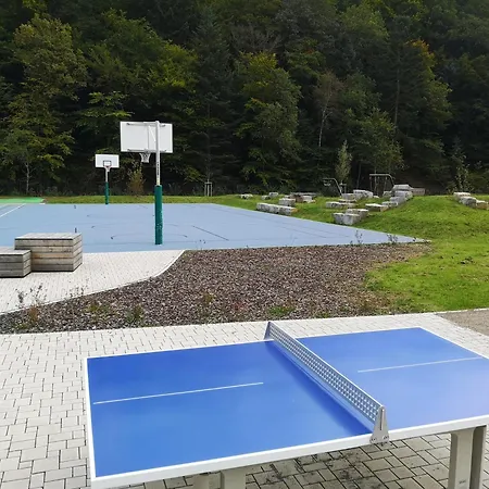 In Waldrandlage In Nationalpark / Eifel *