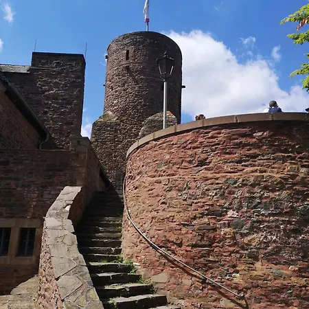 In Waldrandlage In Nationalpark / Eifel