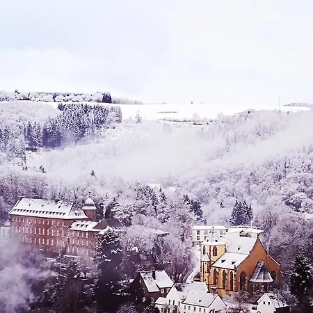 In Waldrandlage In Nationalpark / Eifel 施莱登