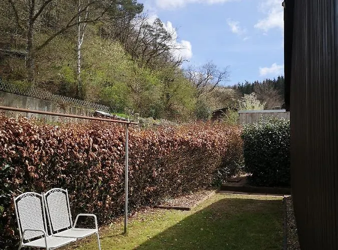 In Waldrandlage In Nationalpark / Eifel 슈라이덴