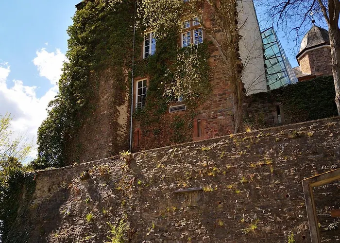 Tatil Evi In Waldrandlage In Nationalpark / Eifel