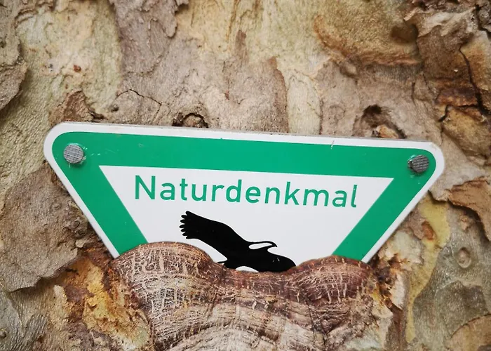 Дом отдыха In Waldrandlage In Nationalpark / Eifel