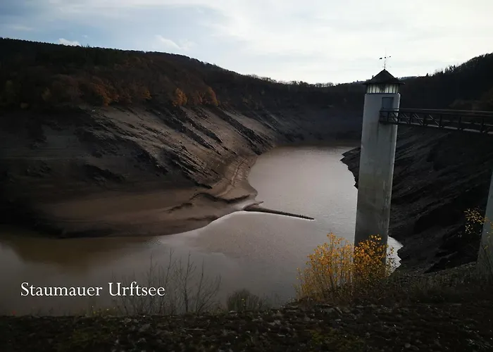 In Waldrandlage In Nationalpark / Eifel *