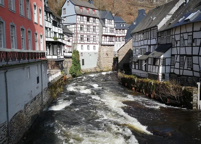 In Waldrandlage In Nationalpark / Eifel *