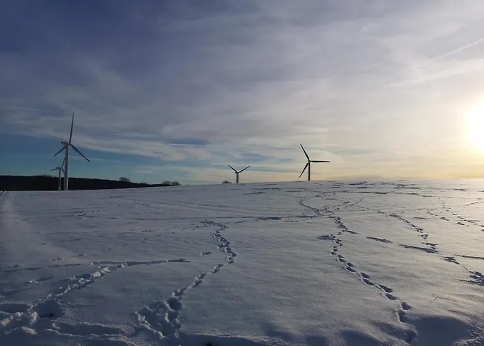In Waldrandlage In Nationalpark / Eifel Tatil Evi Schleiden