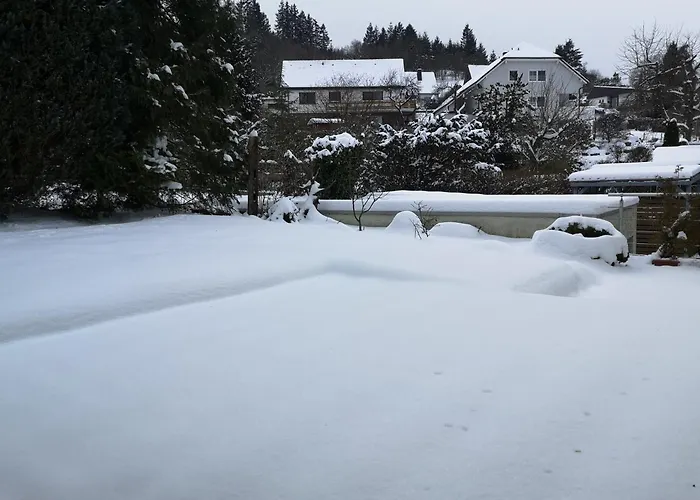 In Waldrandlage In Nationalpark / Eifel *