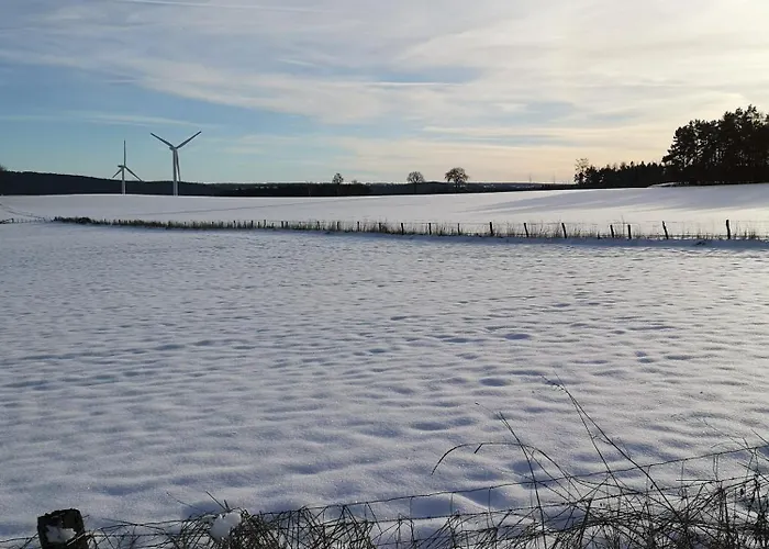 In Waldrandlage In Nationalpark / Eifel Schleiden