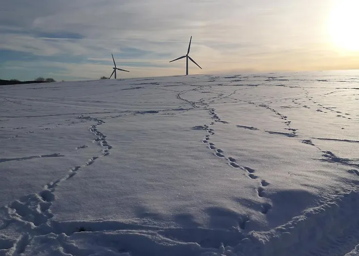 In Waldrandlage In Nationalpark / Eifel