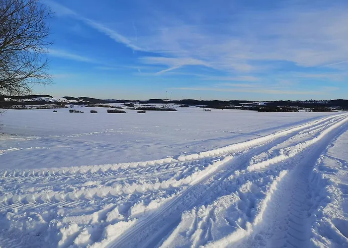Дом отдыха In Waldrandlage In Nationalpark / Eifel