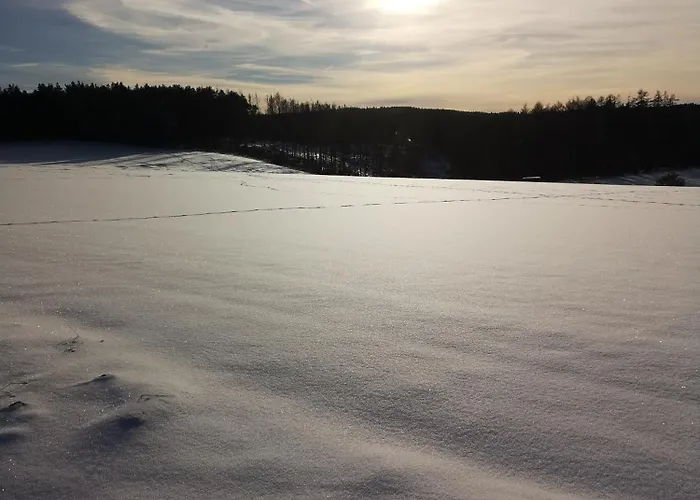 Tatil Evi In Waldrandlage In Nationalpark / Eifel Schleiden