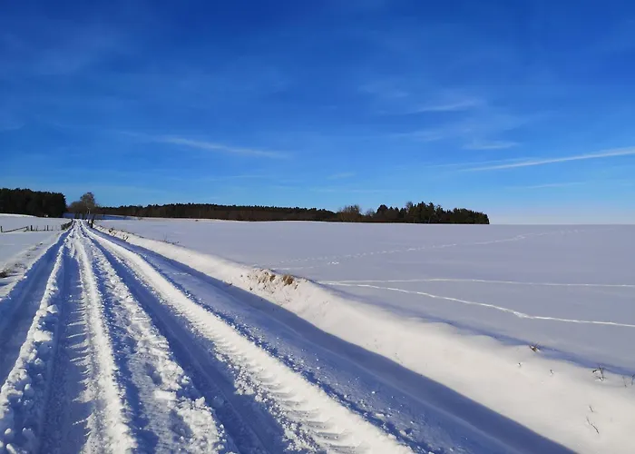 In Waldrandlage In Nationalpark / Eifel *