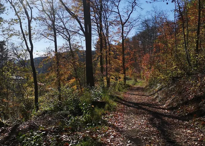 In Waldrandlage In Nationalpark / Eifel * Schleiden