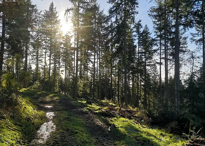 In Waldrandlage In Nationalpark / Eifel