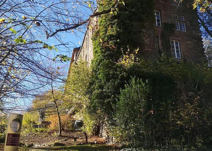 Tatil Evi In Waldrandlage In Nationalpark / Eifel Schleiden