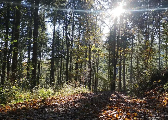 Дом отдыха In Waldrandlage In Nationalpark / Eifel Шляйден
