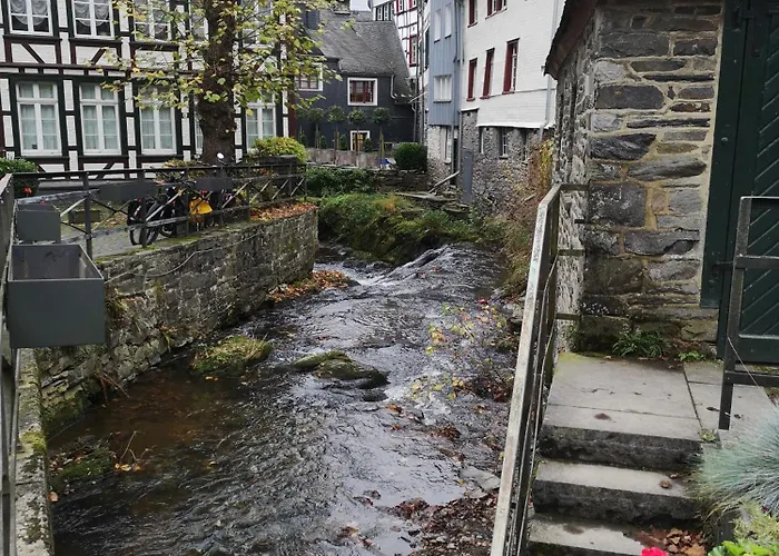 In Waldrandlage In Nationalpark / Eifel * Шляйден