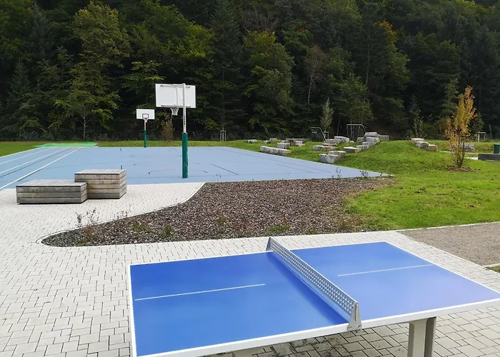 In Waldrandlage In Nationalpark / Eifel *