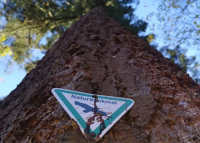 In Waldrandlage In Nationalpark / Eifel * Schleiden