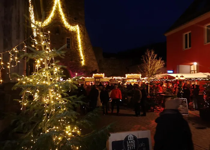 In Waldrandlage In Nationalpark / Eifel